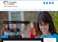 responsive website designing company in raipur chhattisgarh india