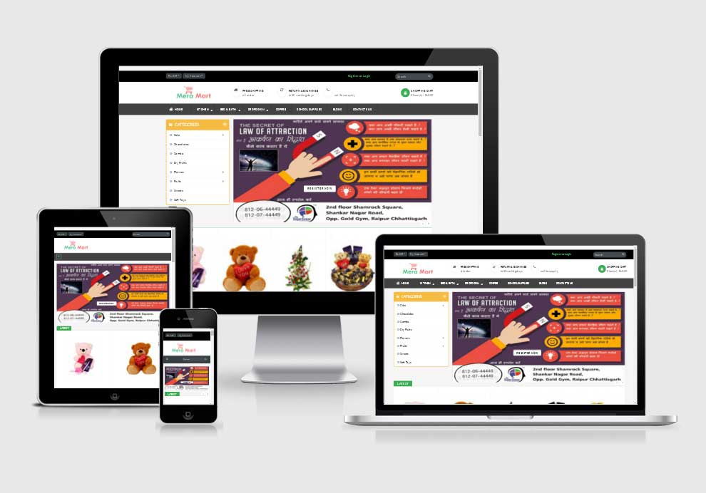 Mera Mart website design company in raipur