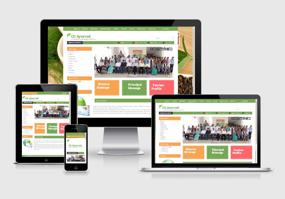 Cit Ayurvedic - Cit Ayurvedic College website design company in raipur
