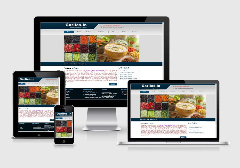 Garlics.in website design company in raipur