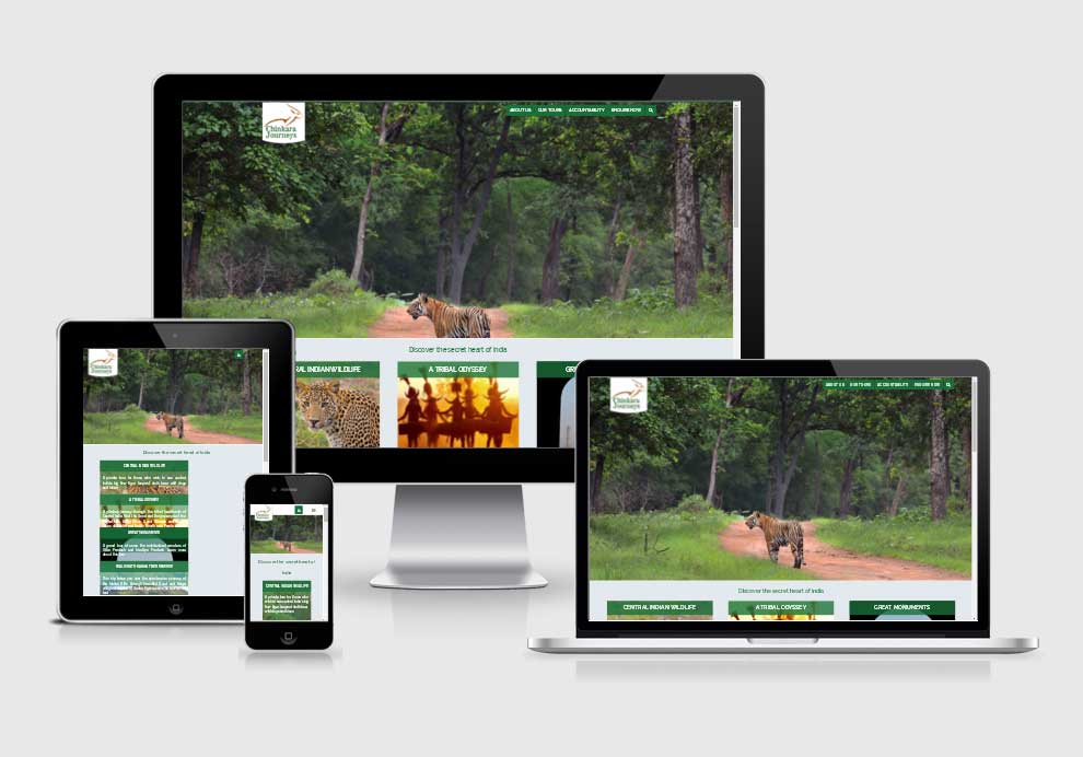 Chinkara Journeys website design company in raipur