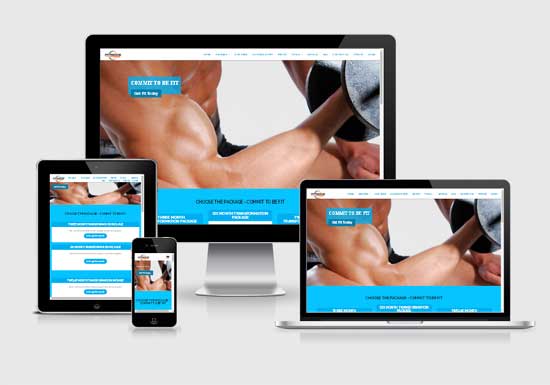 Fitricks website design company in raipur