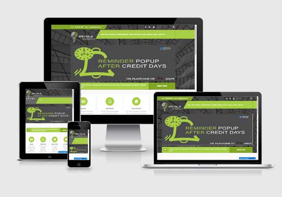 Orvolo website design company in raipur